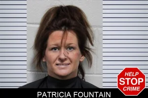 Patricia Fountain mugshot