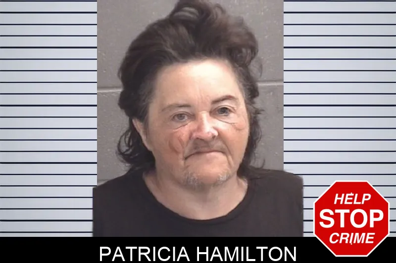 Patricia Hamilton Mugshots