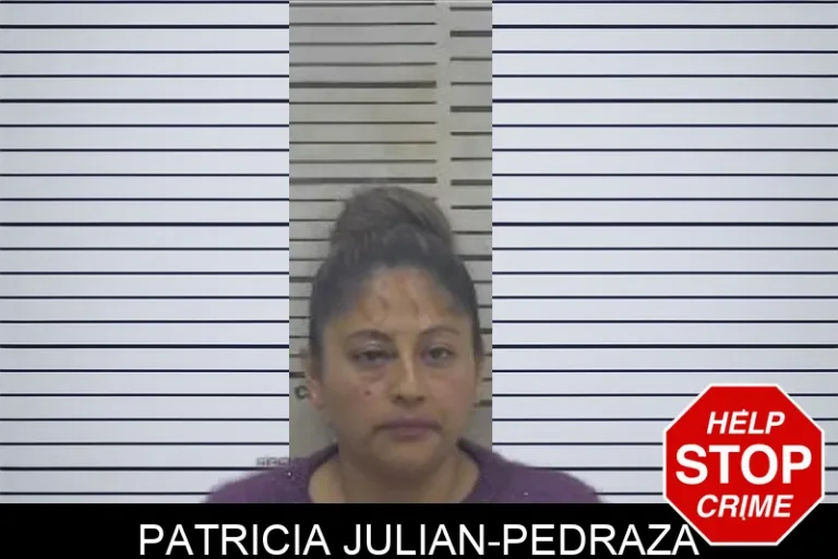 Patricia Julian-Pedraza mugshot – Coffee County , Georgia Patricia Julian-Pedraza