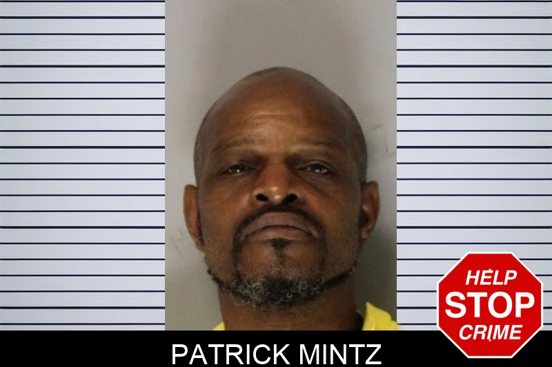 Patrick Mintz Mugshots
