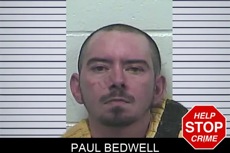 Paul Bedwell