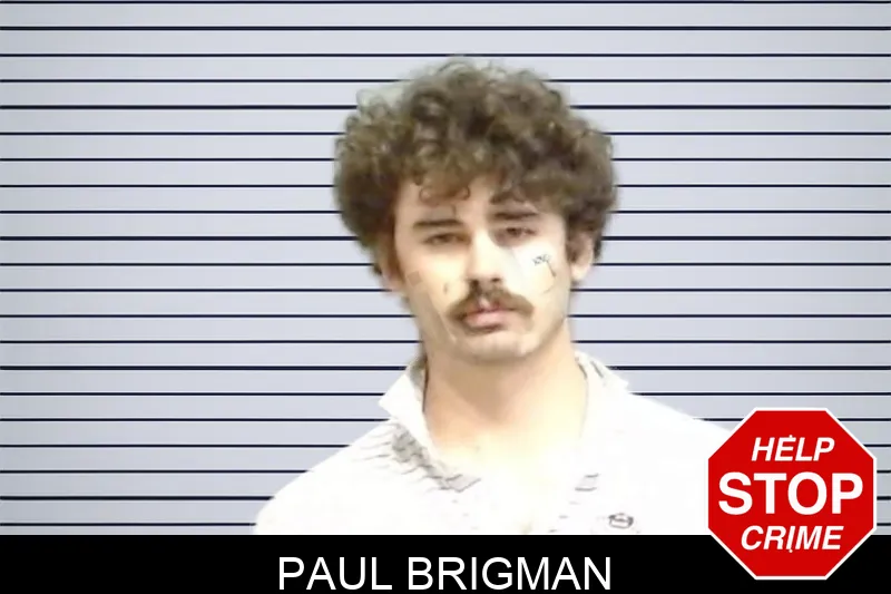 Paul Brigman mugshot – Fulton County , Georgia Paul Brigman mugshot