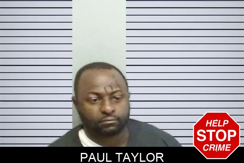 Paul Taylor