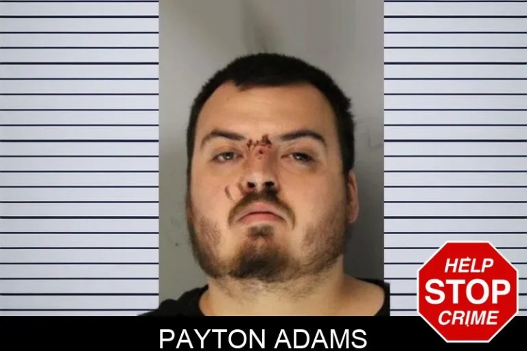 Payton Adams mugshot – Hall County , Georgia Payton Adams