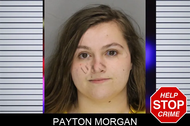 Payton Morgan Mugshots