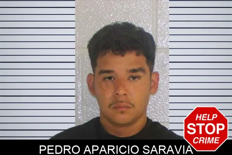 Pedro Aparicio Saravia