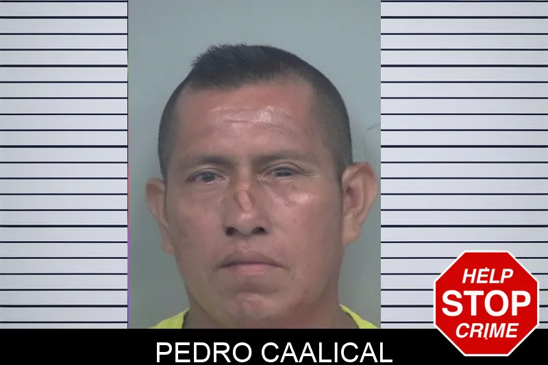 Pedro Caalical mugshot