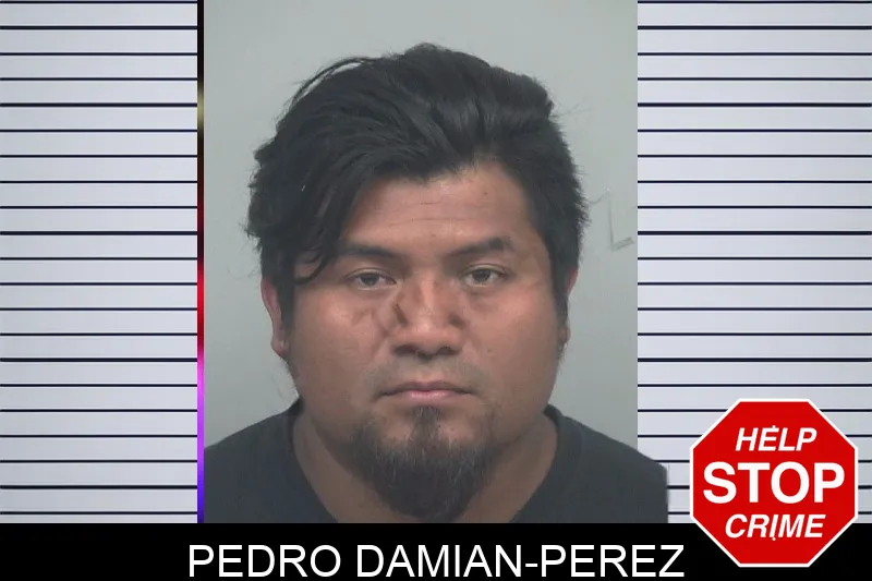 Pedro Damian-Perez Mugshots