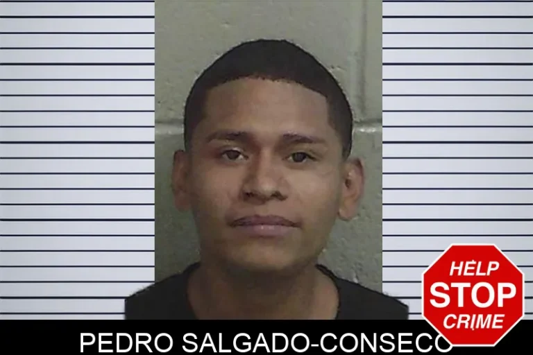 Pedro Salgado-Conseco mugshot – Wayne County , Georgia Pedro Salgado-Conseco