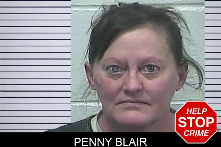 Penny Blair mugshot – Dawson County , Georgia Penny Blair