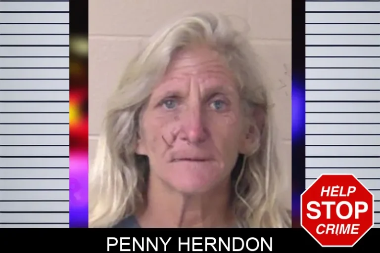 Penny Herndon