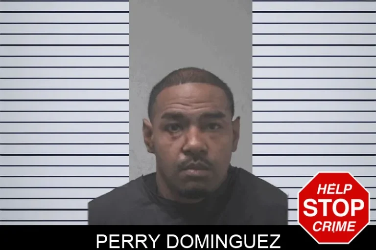 Perry Dominguez