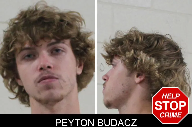 Peyton Budacz mugshot – Houston County , Georgia Peyton Budacz mugshot