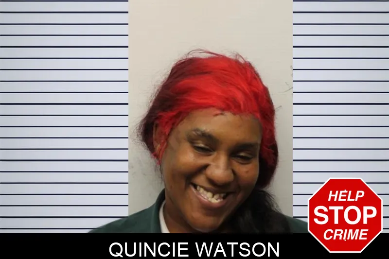 Quincie Watson mugshot – Chatham County , Georgia Quincie Watson mugshot