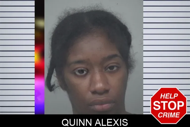 Quinn Alexis