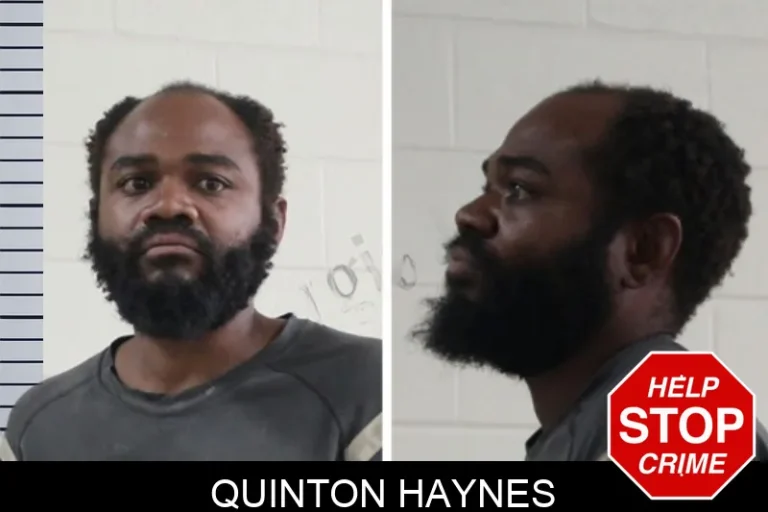 Quinton Haynes