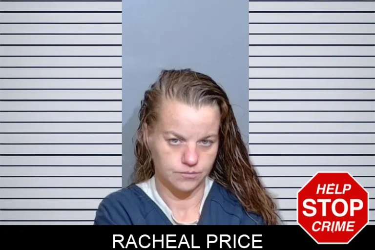 Racheal Price mugshot – Glynn County , Georgia Racheal Price
