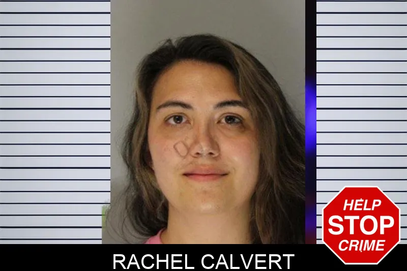 Rachel Calvert mugshot – Hall County , Georgia Rachel Calvert mugshot