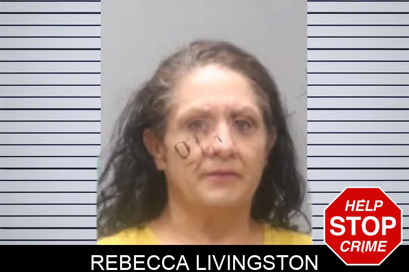 Rebecca Livingston mugshot