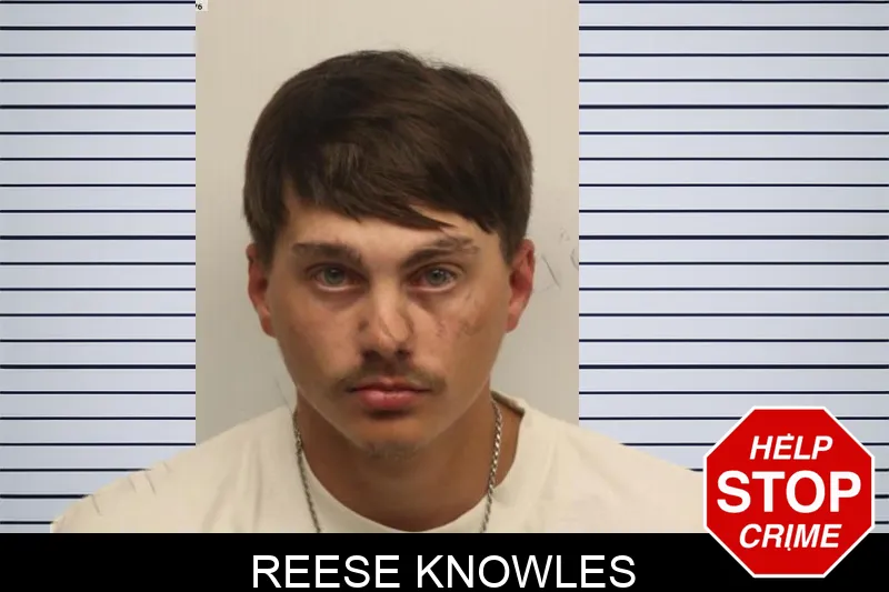 Reese Knowles mugshot – Chatham County , Georgia Reese Knowles mugshot