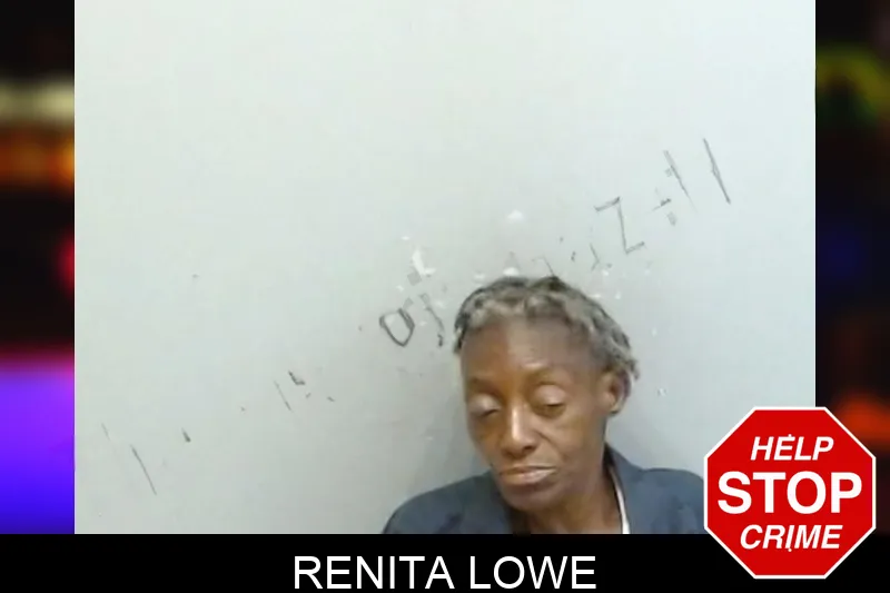 Renita Lowe mugshot