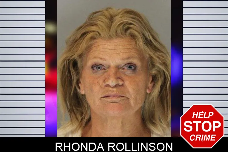 Rhonda Rollinson mugshot – Hall County , Georgia Rhonda Rollinson mugshot