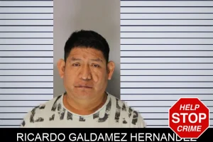 Ricardo Galdamez Hernandez mugshot