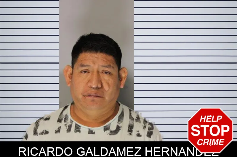 Ricardo Galdamez Hernandez mugshot