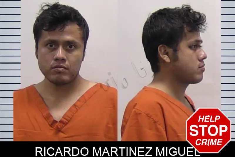 Ricardo Martinez Miguel Mugshots