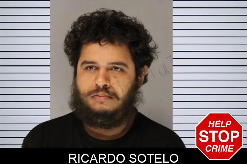 Ricardo Sotelo mugshot