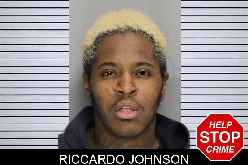 Riccardo Johnson mugshot