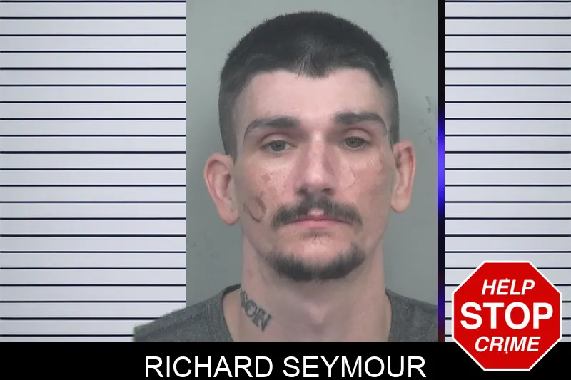 Richard Seymour mugshot