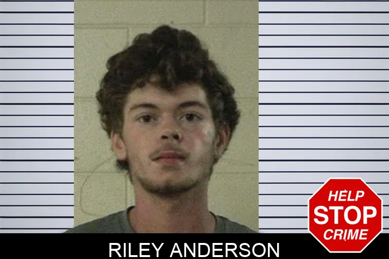 Riley Anderson mugshot – Liberty County , Georgia Riley Anderson mugshot