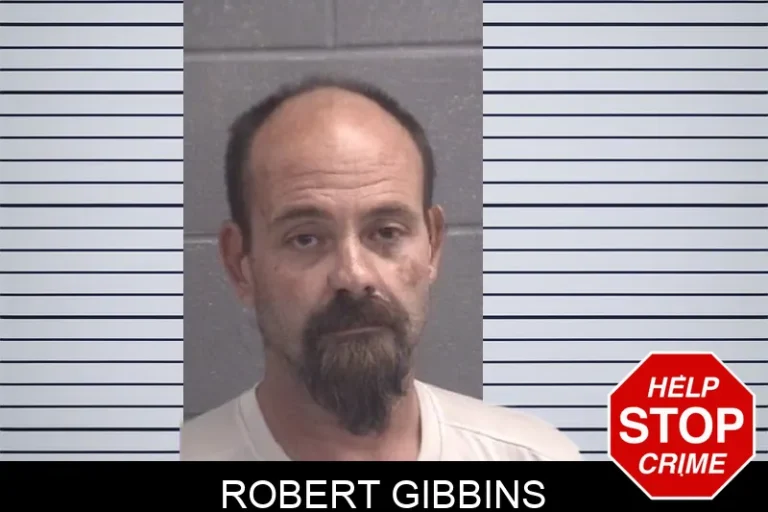 Robert Gibbins