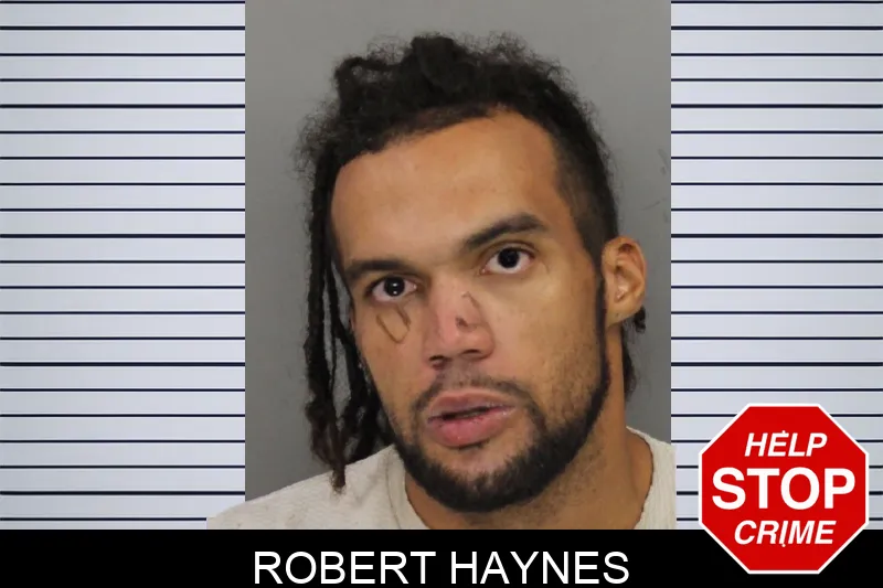Robert Haynes mugshot – Cobb County , Georgia Robert Haynes mugshot