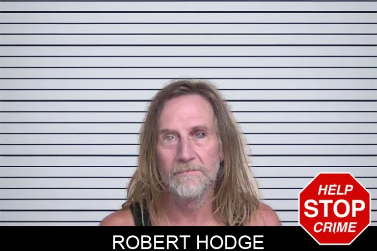 Robert Hodge