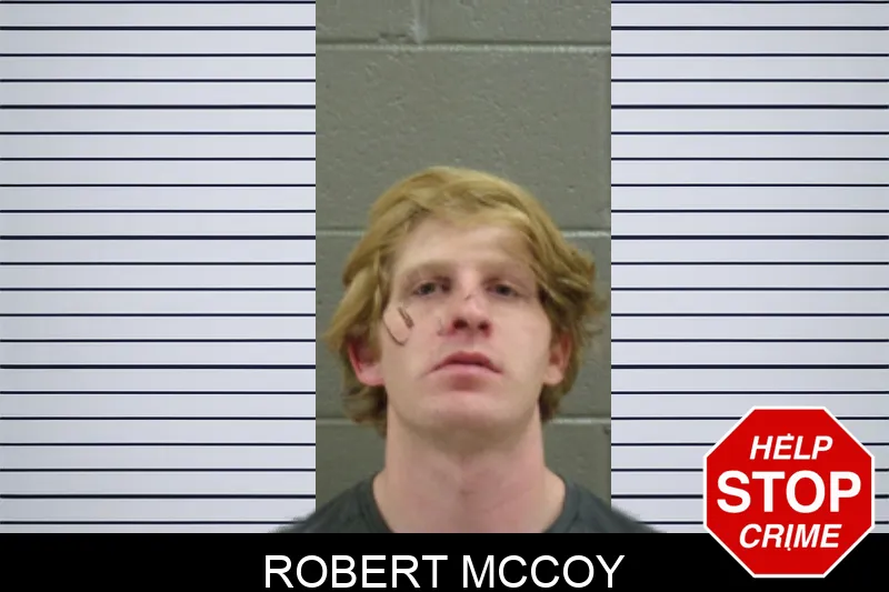 Robert McCoy
