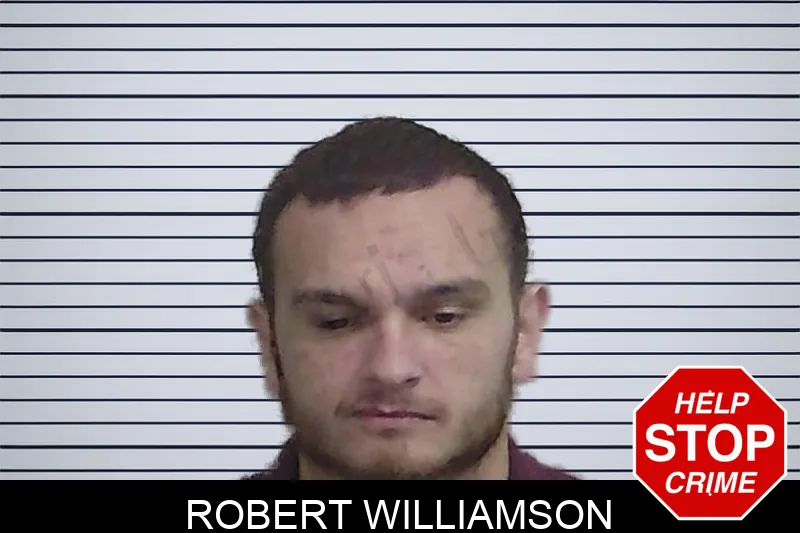 Robert Williamson mugshot – Wayne County , Georgia Robert Williamson mugshot