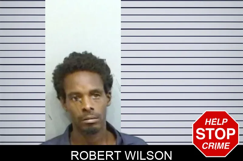 Robert Wilson Mugshots