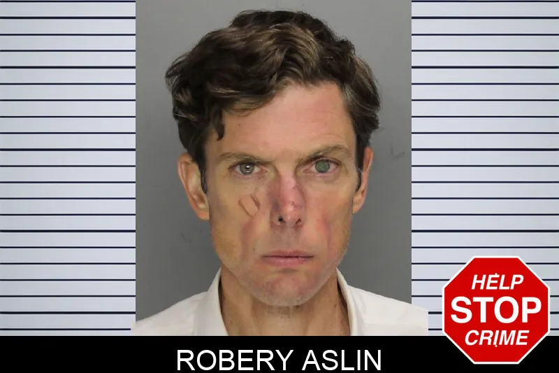 Robery Aslin mugshot