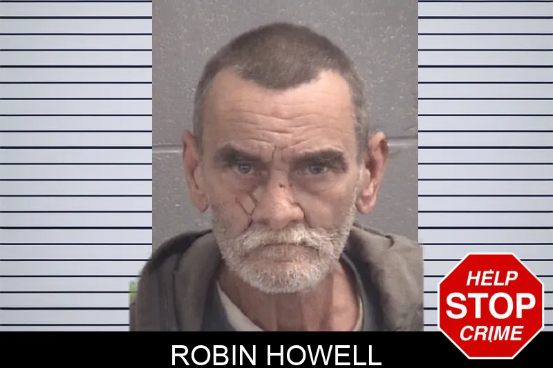 Robin Howell mugshot