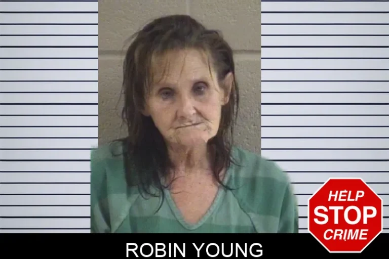 Robin Young mugshot – Whitfield County , Georgia Robin Young