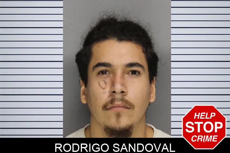 Rodrigo Sandoval mugshot – Cobb County , Georgia Rodrigo Sandoval mugshot