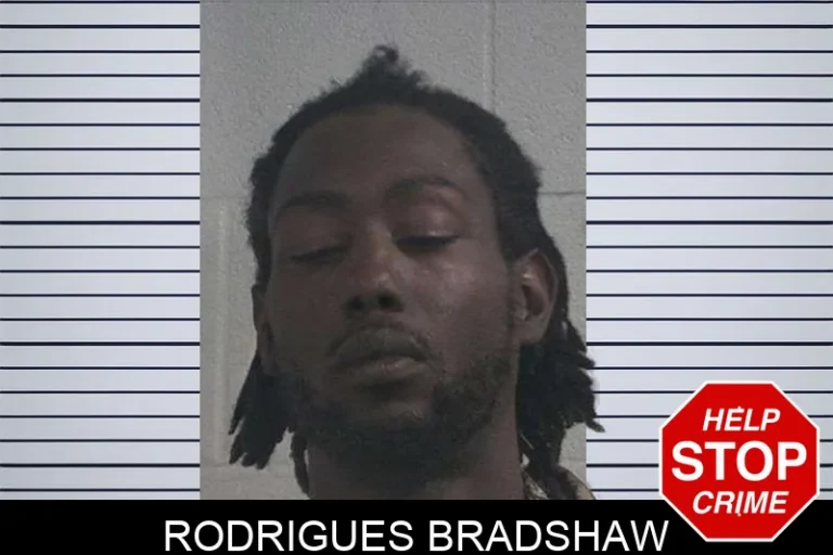 Rodrigues Bradshaw