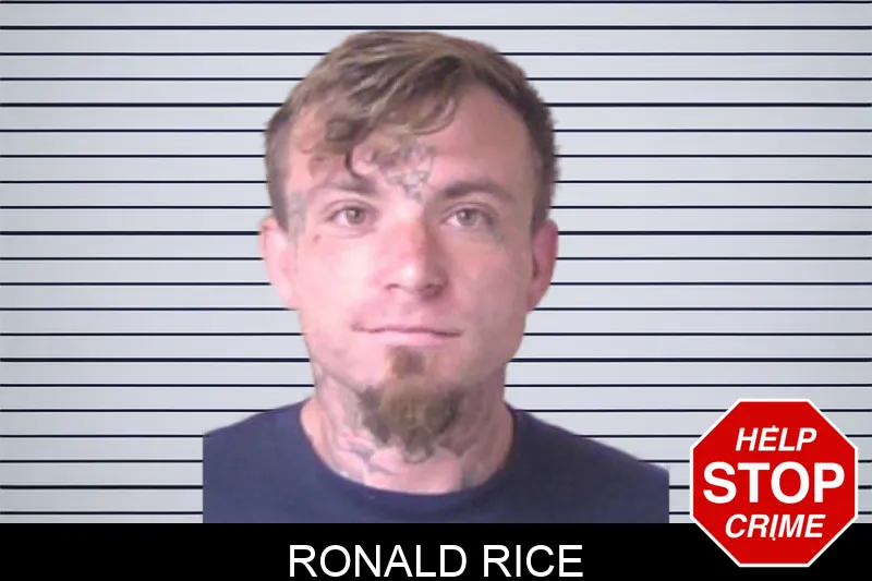 Ronald Rice mugshot