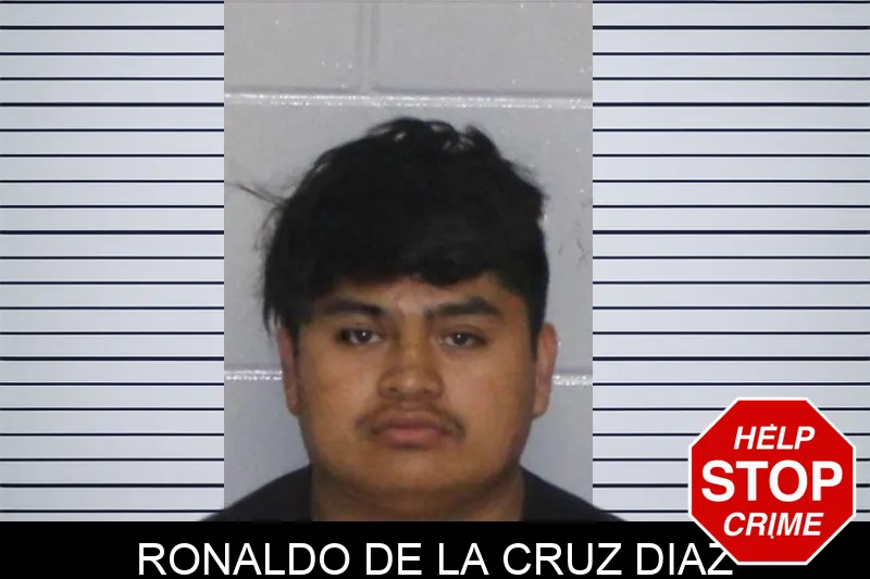 Ronaldo De La Cruz Diaz