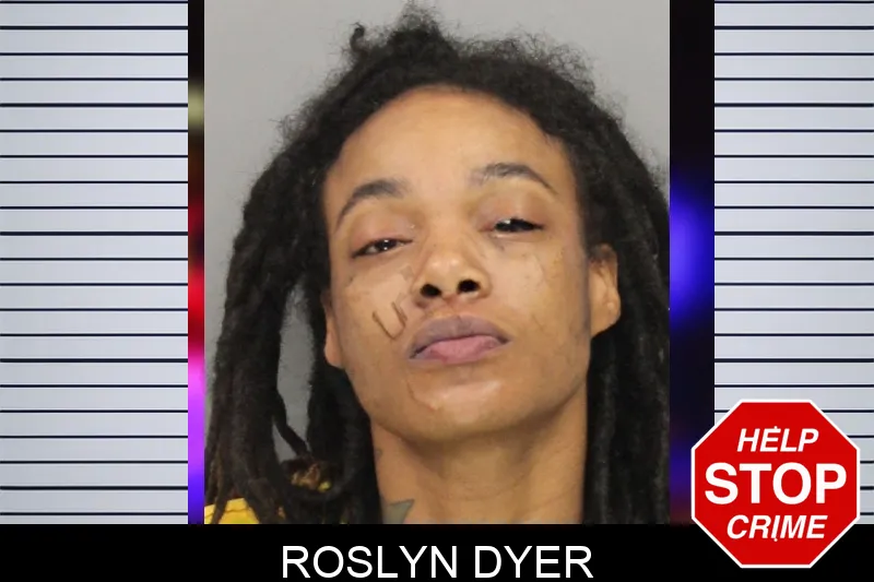 Roslyn Dyer mugshot