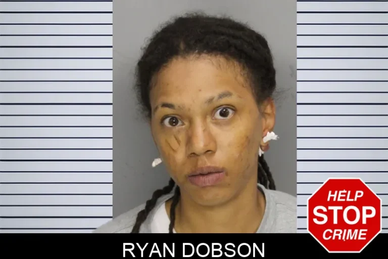 Ryan Dobson mugshot – Cobb County , Georgia Ryan Dobson