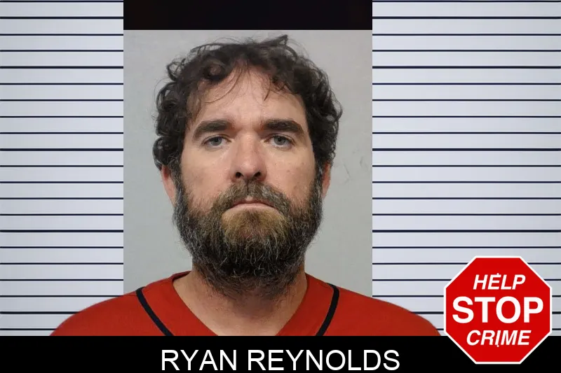Ryan Reynolds mugshot