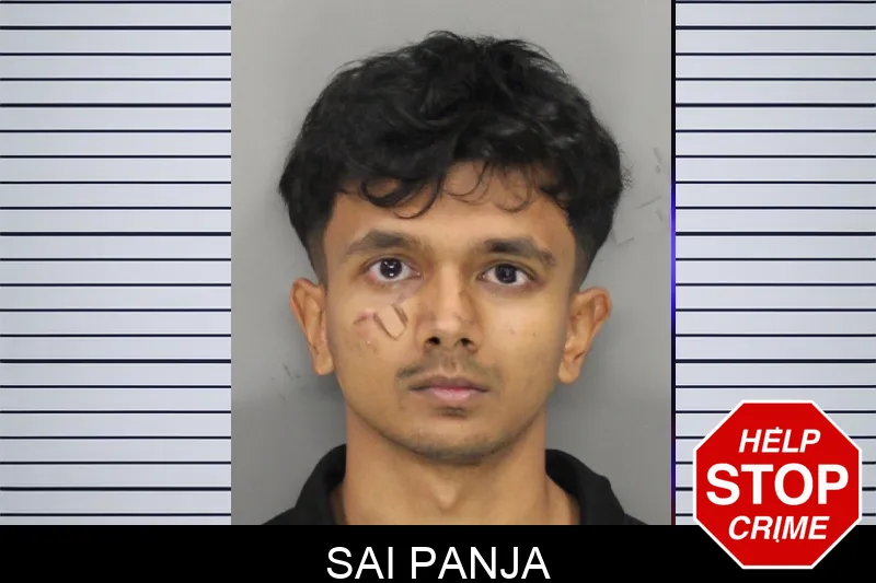 Sai Panja Mugshots